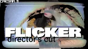 Flicker: Sensory Overload (Director's Cut)