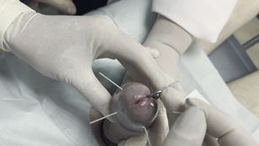 the urologist