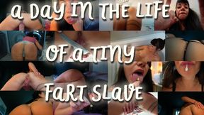 Day In The Life Of A Tiny Fart Slave