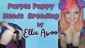 Purple Puppy Needs Breeding