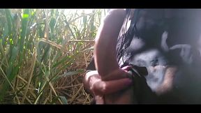 Paloma Veiga fudendo cara no mato