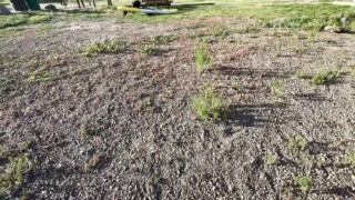 Vụ xuất tinh hậu môn bừa bãi của cô gái MILF xăm hình nghiệp dư mặc bikini với một con cặc to