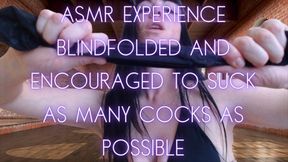 Blindfolded and Encouraged to Suck as Much Cock as Possible