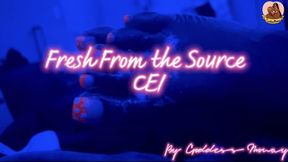 Fresh From The Source CEI