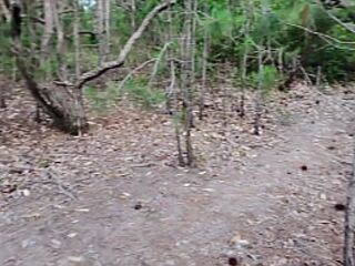 Drone footage captures pair having sex.