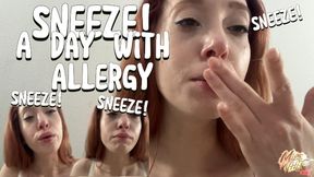 Sneeze A Day With Allergy