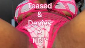 Denied, Trapped & Used by a Giantess tease and denial taunt humiliate size humiliation verbal humiliation