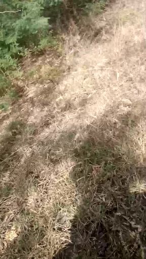 Village sex video