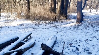 I invited my neighbor to a picnic in the forest and seduced her - Lesbian_illusion