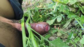 Desi village sarso ke khet me manoranjan