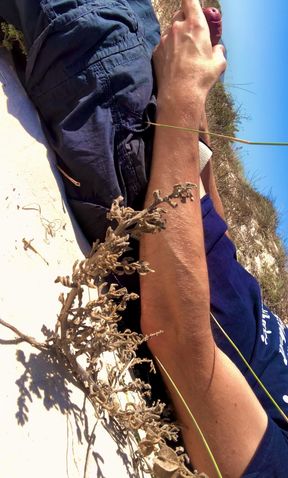 Michael is horny on Sunset Beach
