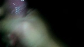 Venimos cargados de leche