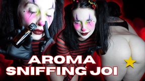 Aroma Sniffing JOI with KristyLee