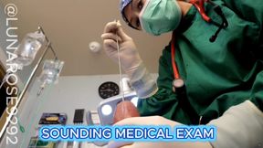 5 min POV Watch Dr. Luna perform a sounding procedure on you with multiple different sizes! 🧤🩵🩺