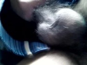 jerking in cat masterbation