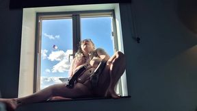 bambi in the window