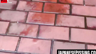 Forbidden Fountains Japans Hottest Babes Unleash in Private Paradise