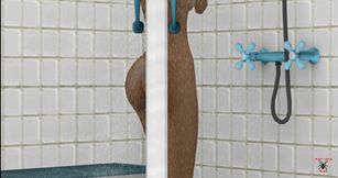 Wet dreams II part 5 (the shower) spanish