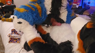 Big dog teaches the little kitty how to sit #knot #knotfucking