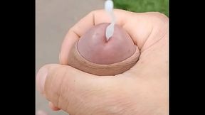 Paja slow motion