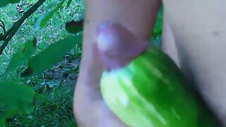 Call any vegetable