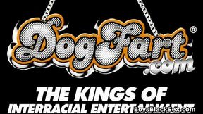 BlacksOnBoys - Nasty sexy boys fuck young white sexy gay guys 01