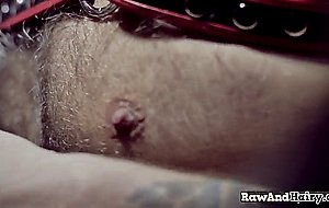 Mature bear assravaging otter deep