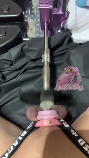 Sissy plaps her balls with a high speed sex machine (003) Preview
