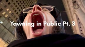 Yawning in Public Pt. 3