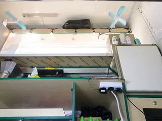 Super cute angel in pink mini petticoat secretly upskirted at work - voyeur pov