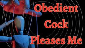 Obedient Cock Pleases Me (mp4 audio only)