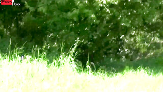 Freeze Frame A Desperate Rollerblading Orgy