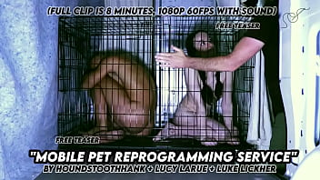 Mobile Pet Reprogramming Service