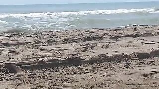Sub training on the beach