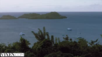 Vixen's Vacation Fling: No Rules, Just Thrills
