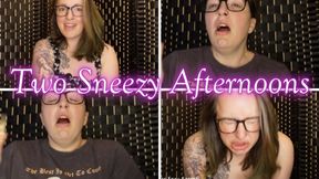 Two Sneezy Afternoons wmv