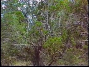 Randy gay stepbrothers suck cocks and fuck asses and jerk off afterwards in forest