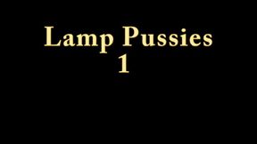 Lamps And Pussies 1 WMV