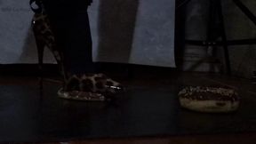 eat from shoes (two view)