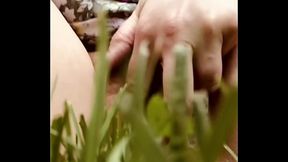 Video clip and pic