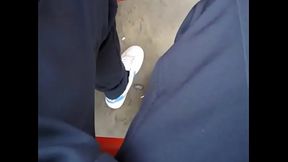 paja en el bus