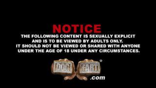 Interrazziale pompino, cavalcata, sperma in bocca, nero, trio – Brian Bonds tatuato, Fame e Jigz Castelo, BBC scopato nel culo