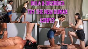 Dula & Orchidea Try the New Human Carpet
