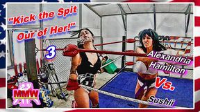 Kick the Spit Out of Her! 3