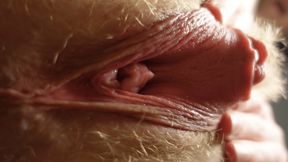 POV riding your face with my beefy pussy