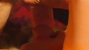 Boyz Party: Jungle Joy