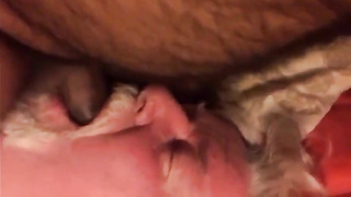 Daddy sucking  cub 9