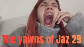 The yawns of Jaz 29