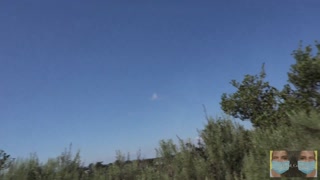 Oh don't be a pussy, pull your dick out, and let me blow you