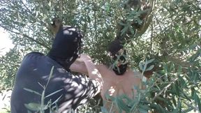 Slave Susi tied into an Olive Tree in the public Woods- Part 1 wmv SD